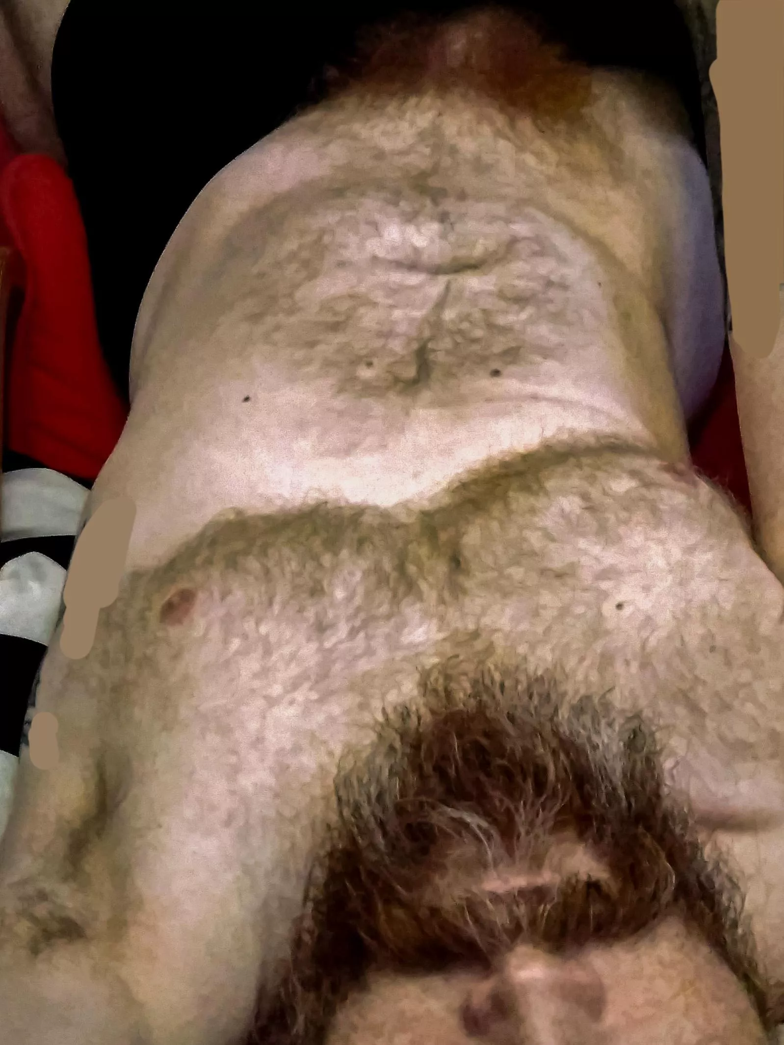 Beard, chest and bush hair posted by _Wolf-Red_