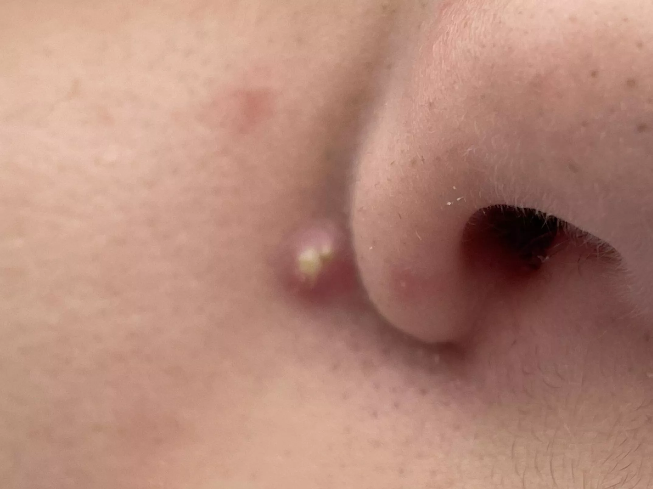 Forbidden pop on my son.  posted by Puzzled-Smoke-6030