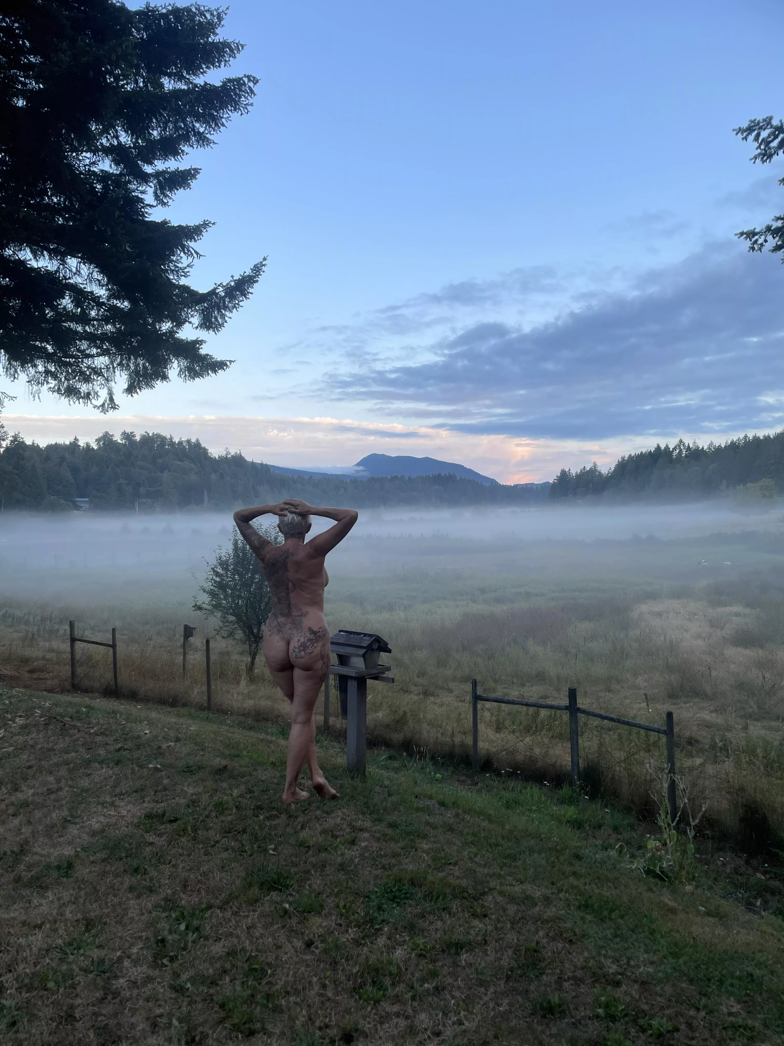 Good Morning  posted by Omg123456789012