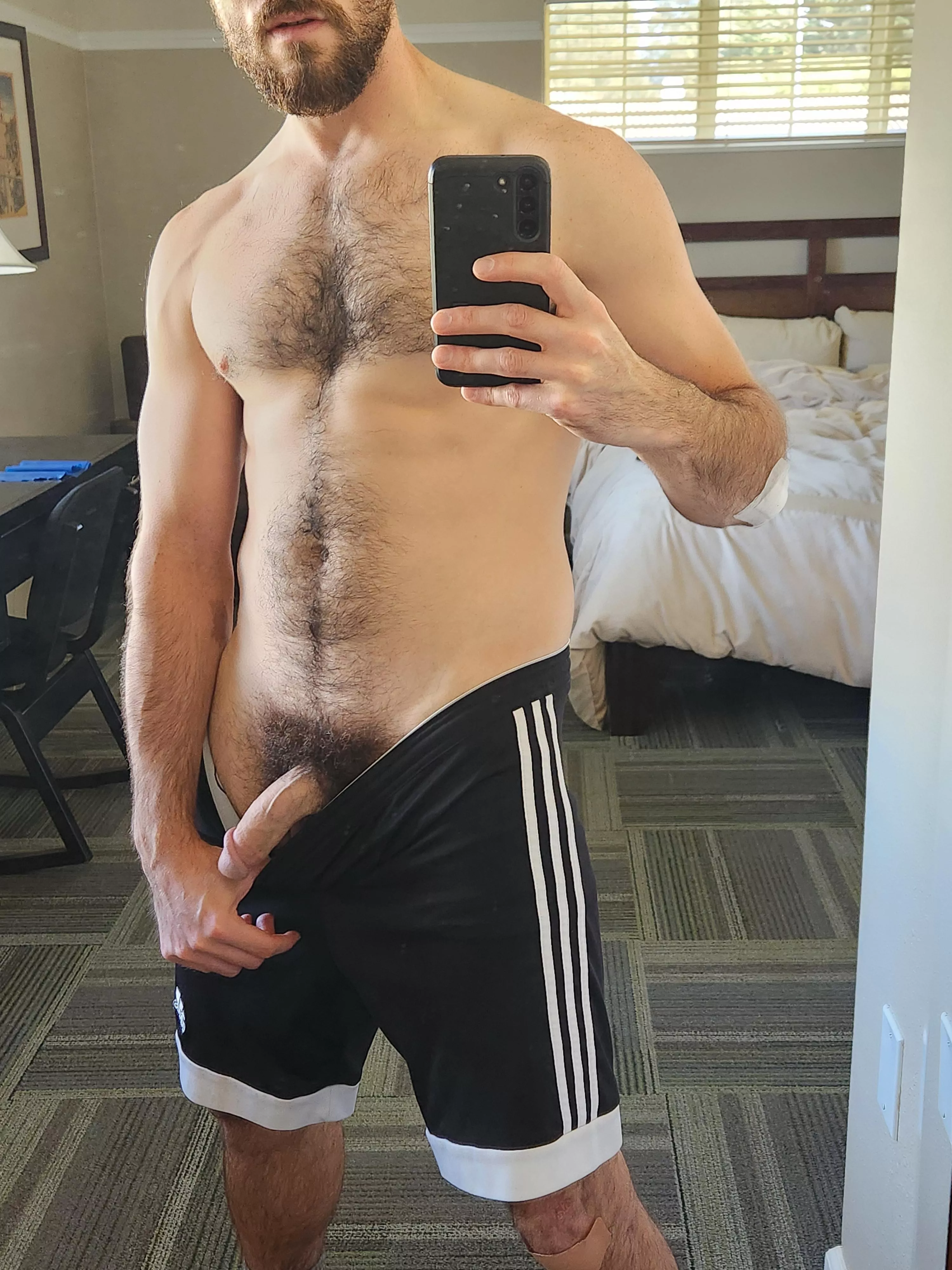 Hanging out (28) posted by busterrpup