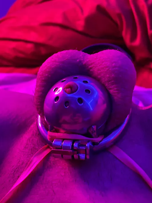 Locked while she gets bigger d. by sofi-your-kitten