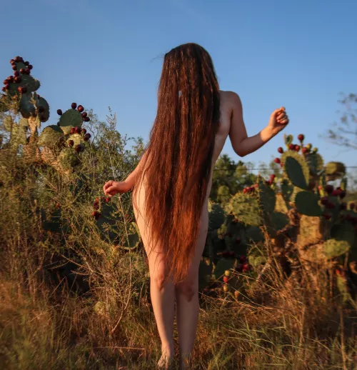 sunset brings out the red in my hair by _creature_feature