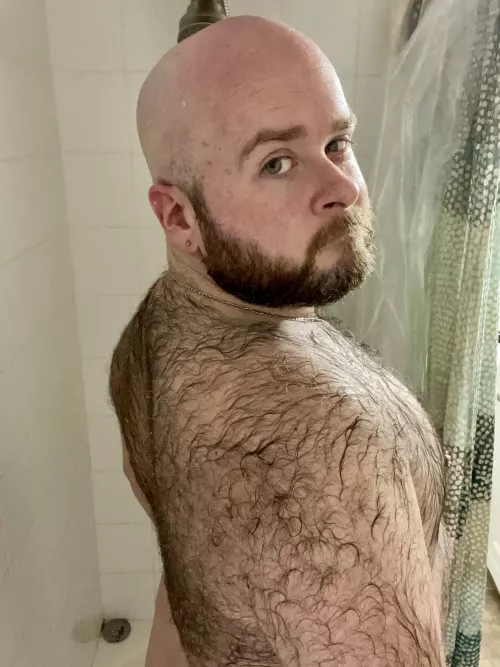 Wet fur by AmadeusExLibris