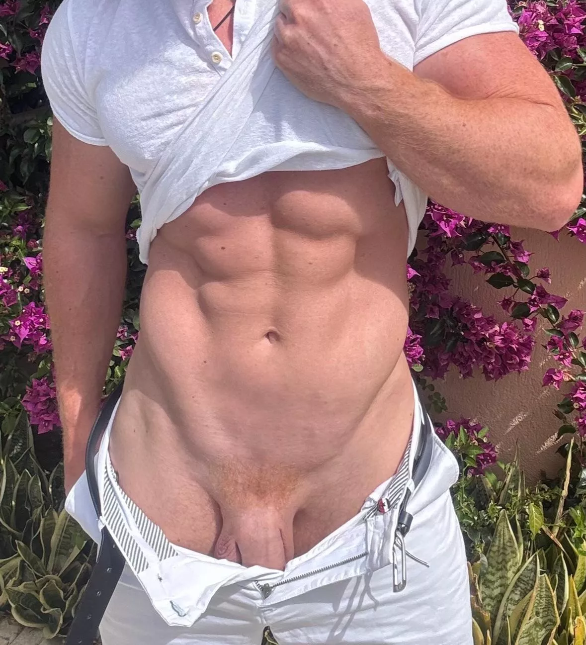 Who’s into getting ginger bred? posted by Ok-Philosopher-9562