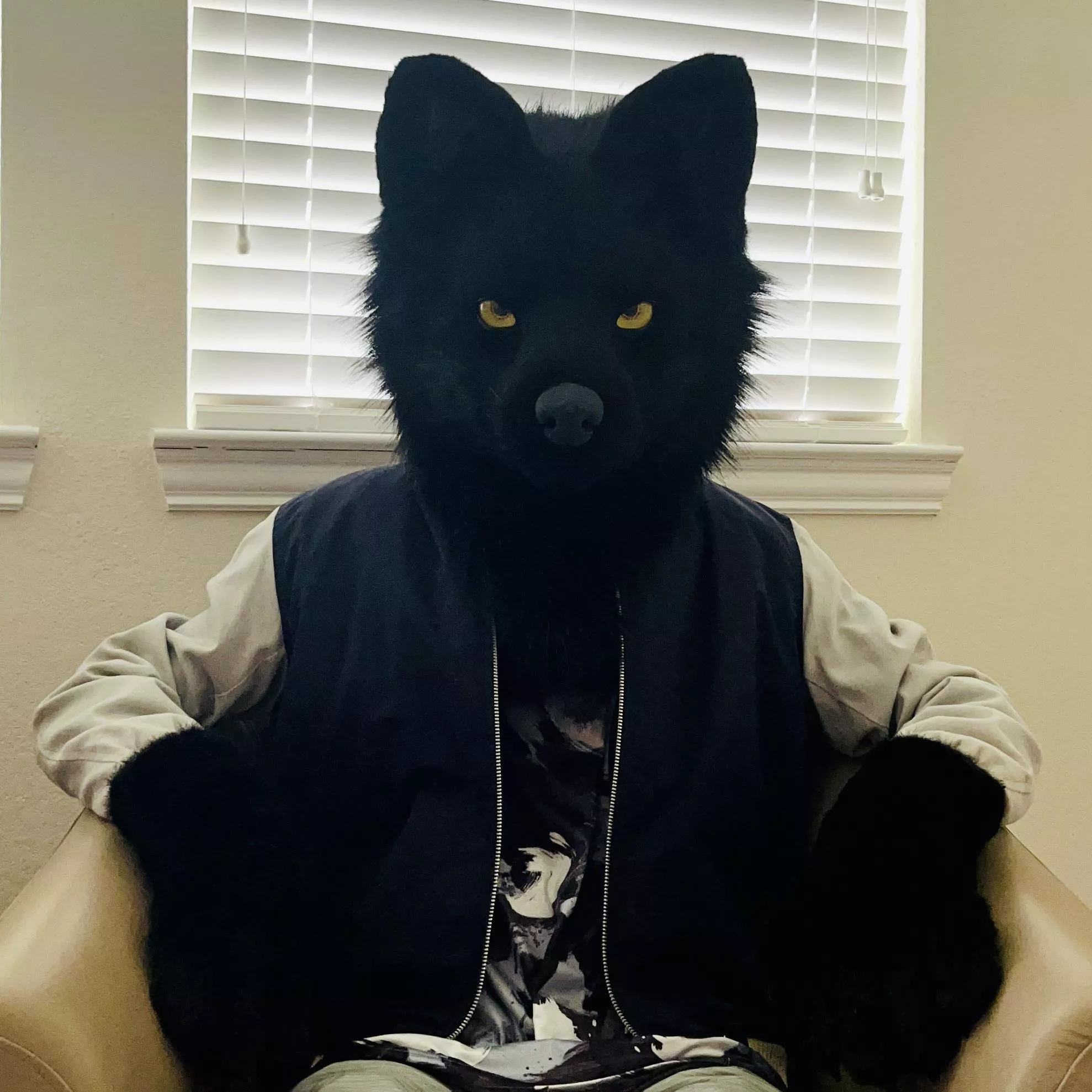 Happy International Wolf Day! 🐺 posted by alp1neeeee