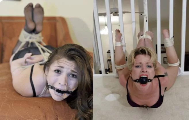 Headed off to their new brothel home  posted by Ok-Aspect3691