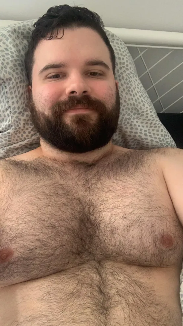 How did I never realize that there’s a bear subreddit 😂 posted by Dont_live_here