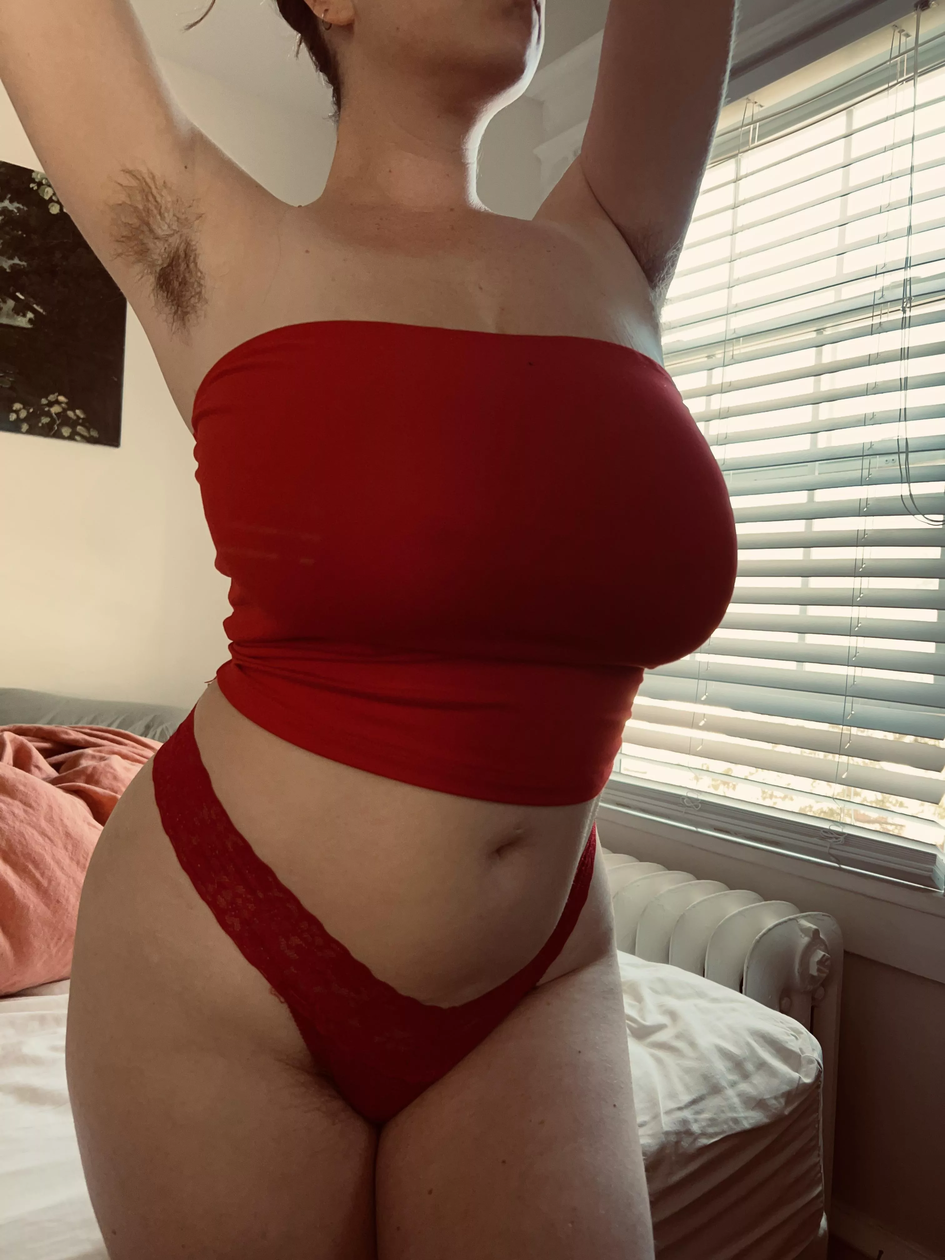 I did not want to get out of bed today..  posted by queensolitaire_