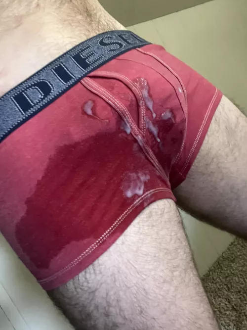 [Selling][US][$40] Used my piss soaked boxers as my cum rag.  by Ok_Hunt_4234