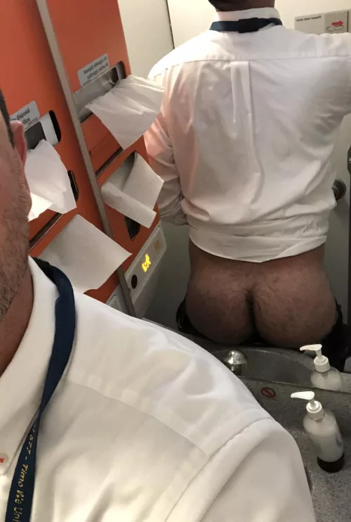 Want some flight attendant ass?  by Anontallgay