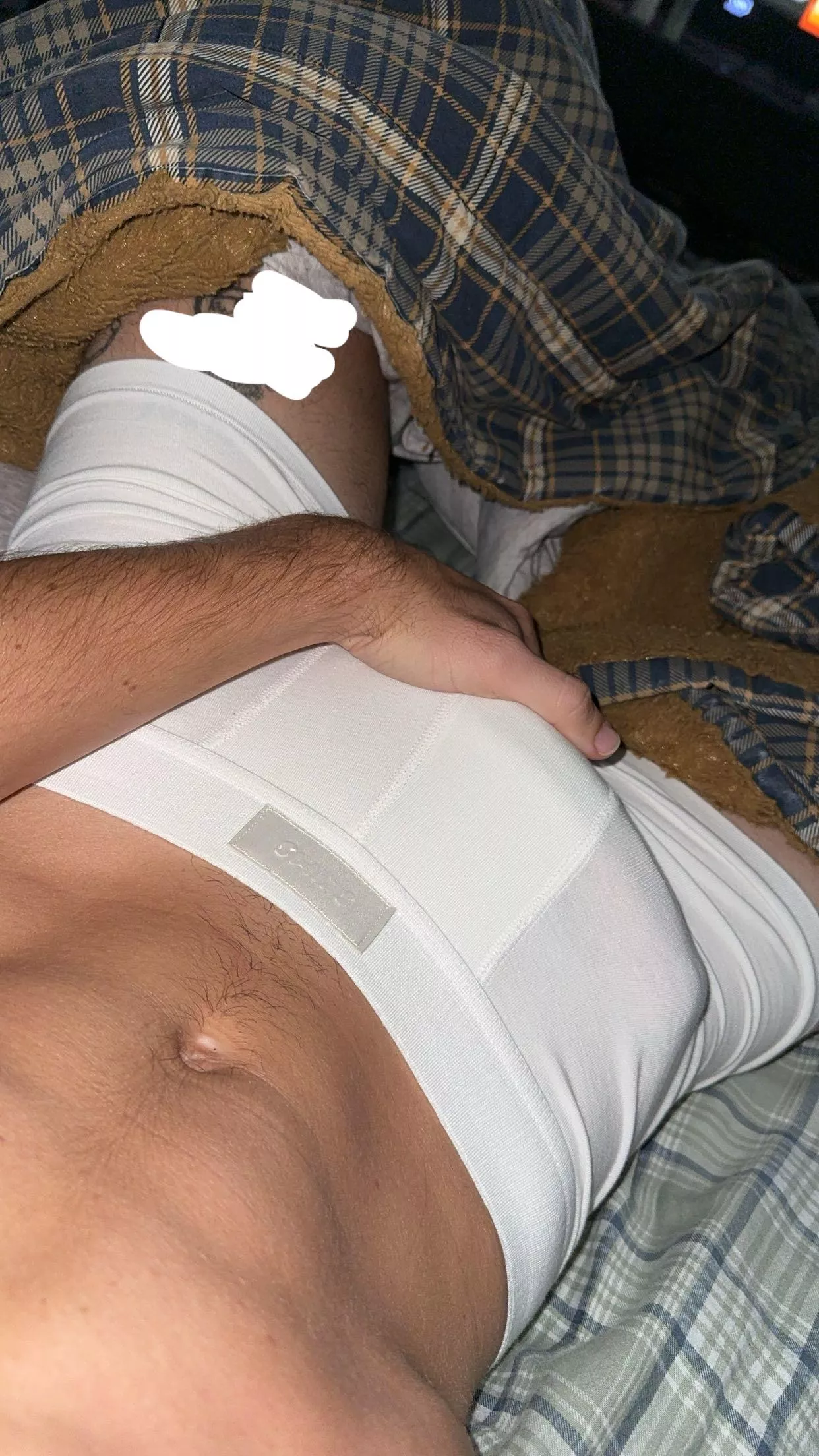 morning wood posted by hotnready457