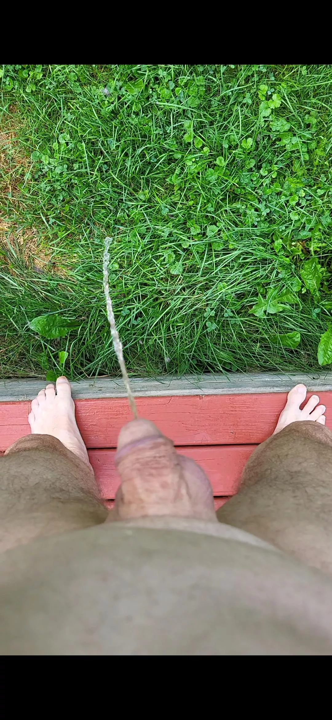 Now that I live in the country  posted by Uberdad6969