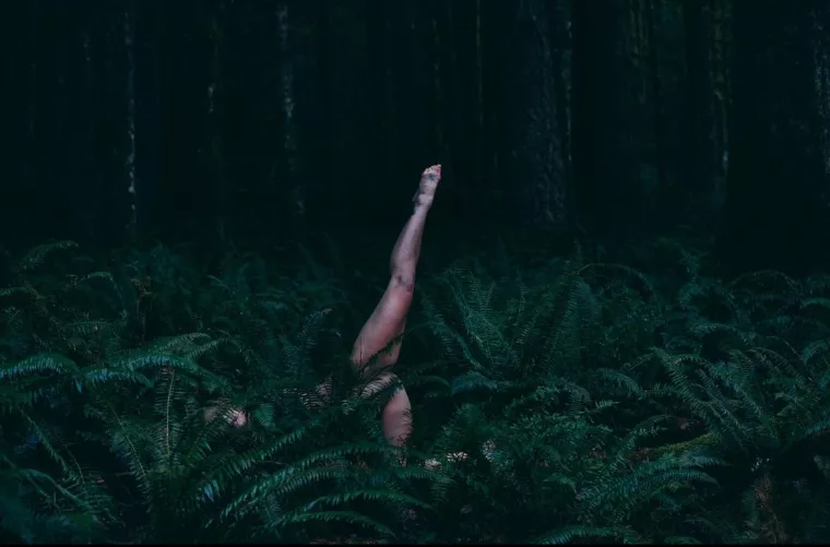 Flora or fauna  by Unlikely-Shake7569