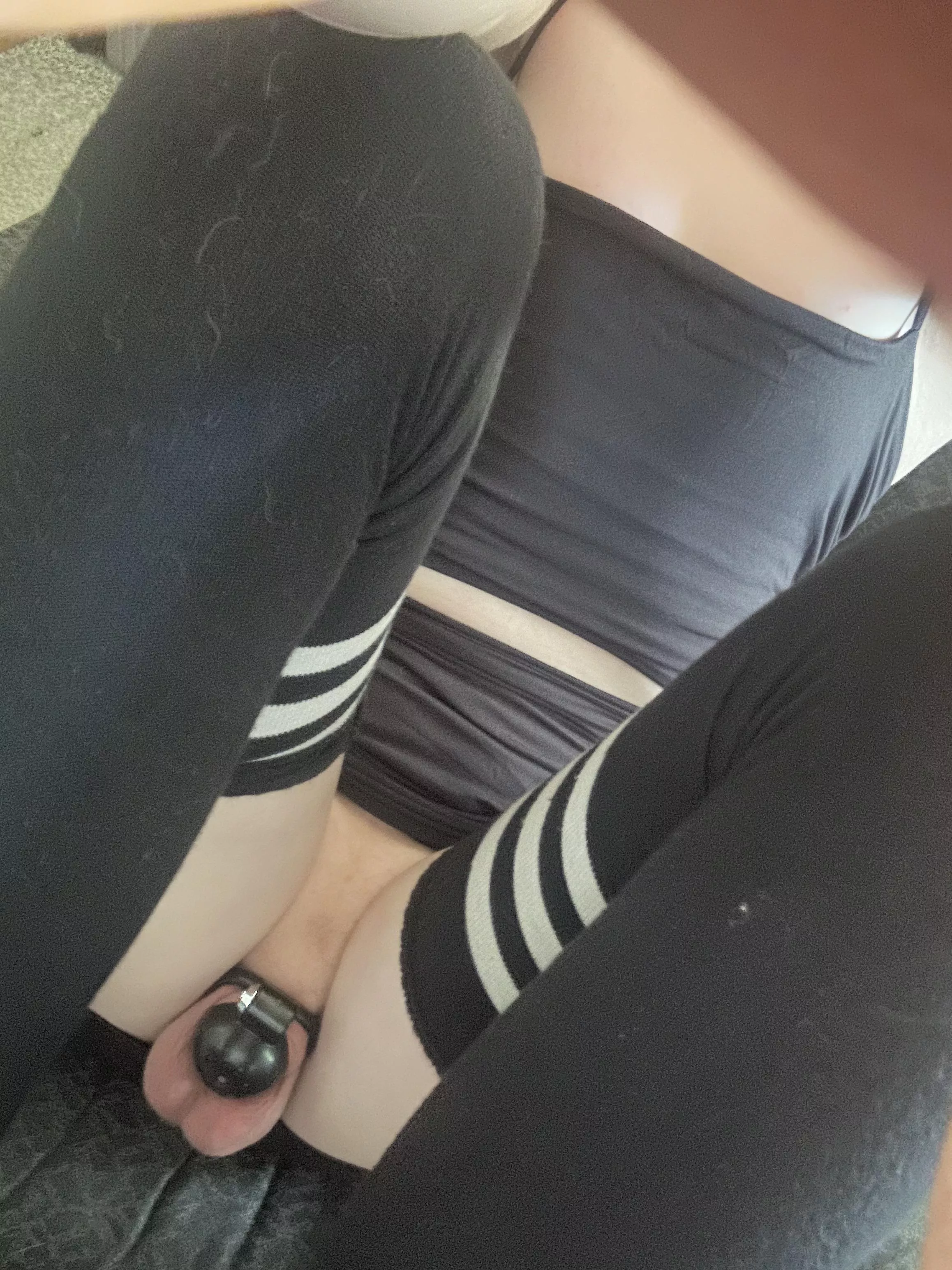 I love my new cage posted by doodleslayer21