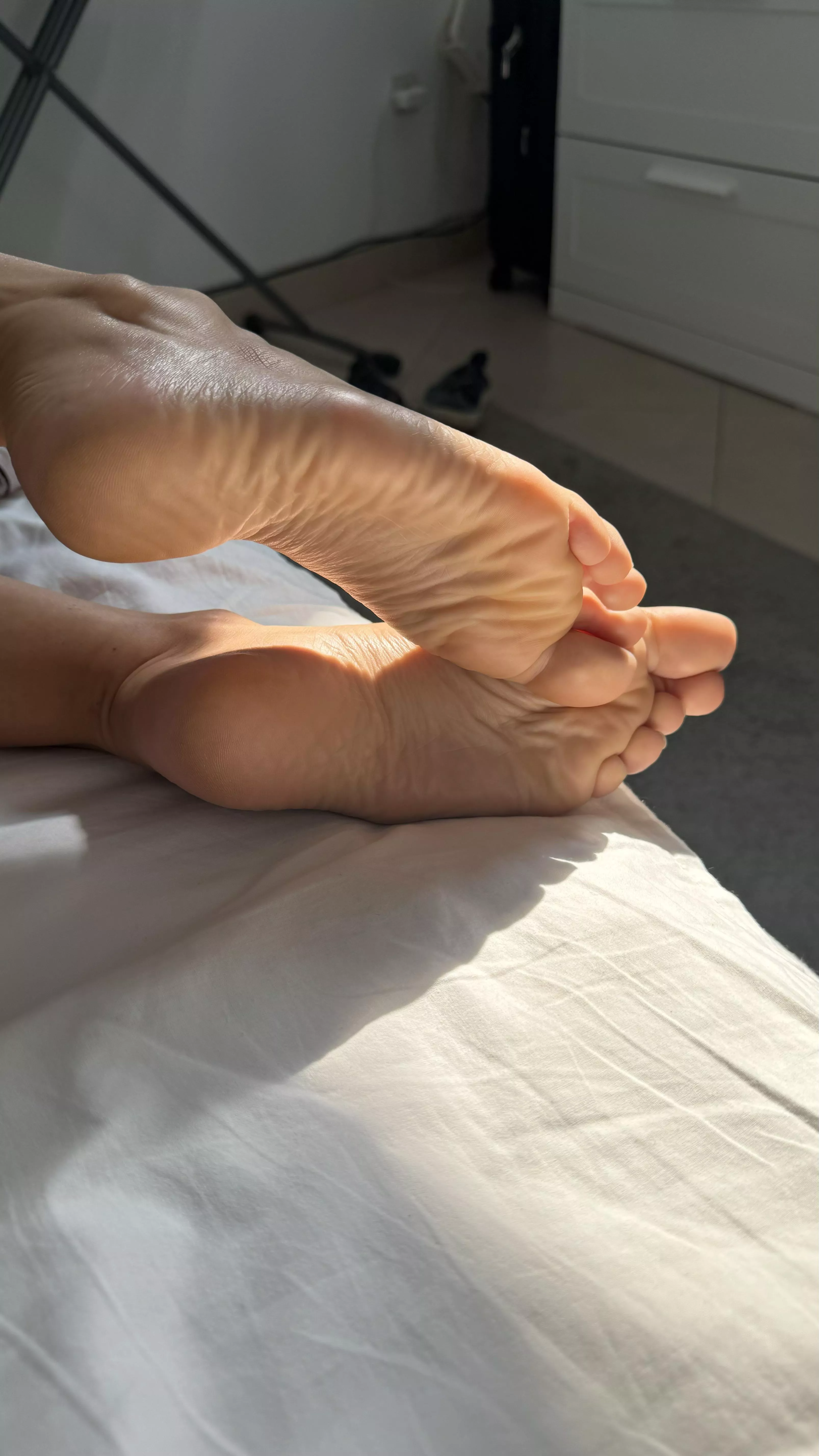 Morning feet in your face? posted by Lilly_Larson