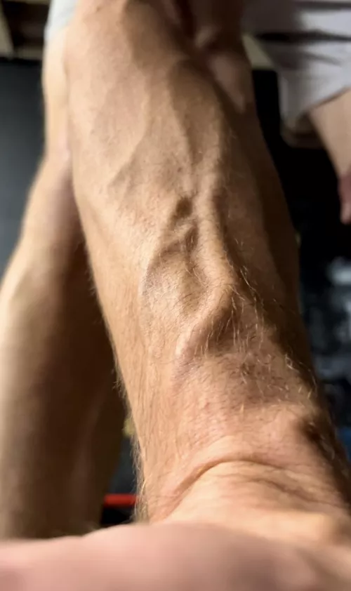 POV  by Shred_and_Bread