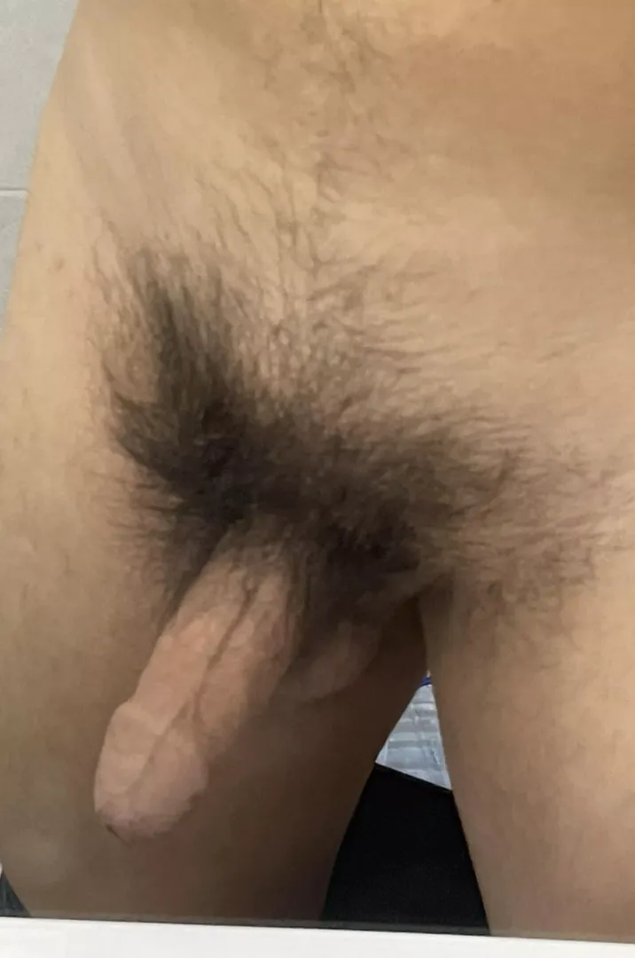 Who is into hairy cocks?! posted by Conscious-Wonder-184