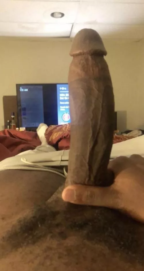 2024 breeder bbc by longdongnmn