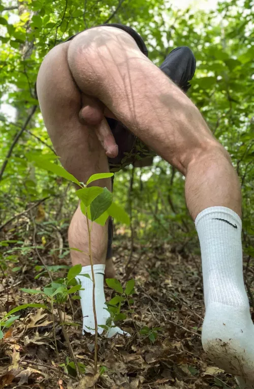 Had to stop mid hike to jerk it since I was so horny. Would you jerk it if you came across me?? by Ok-Piece959