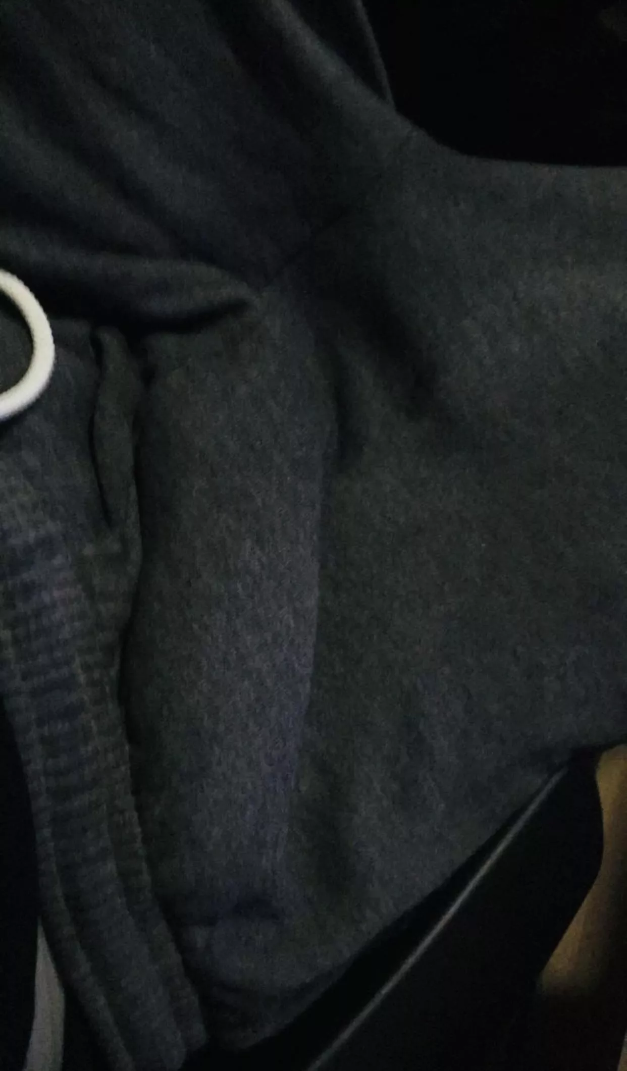 He wants to say hi  posted by italiafun