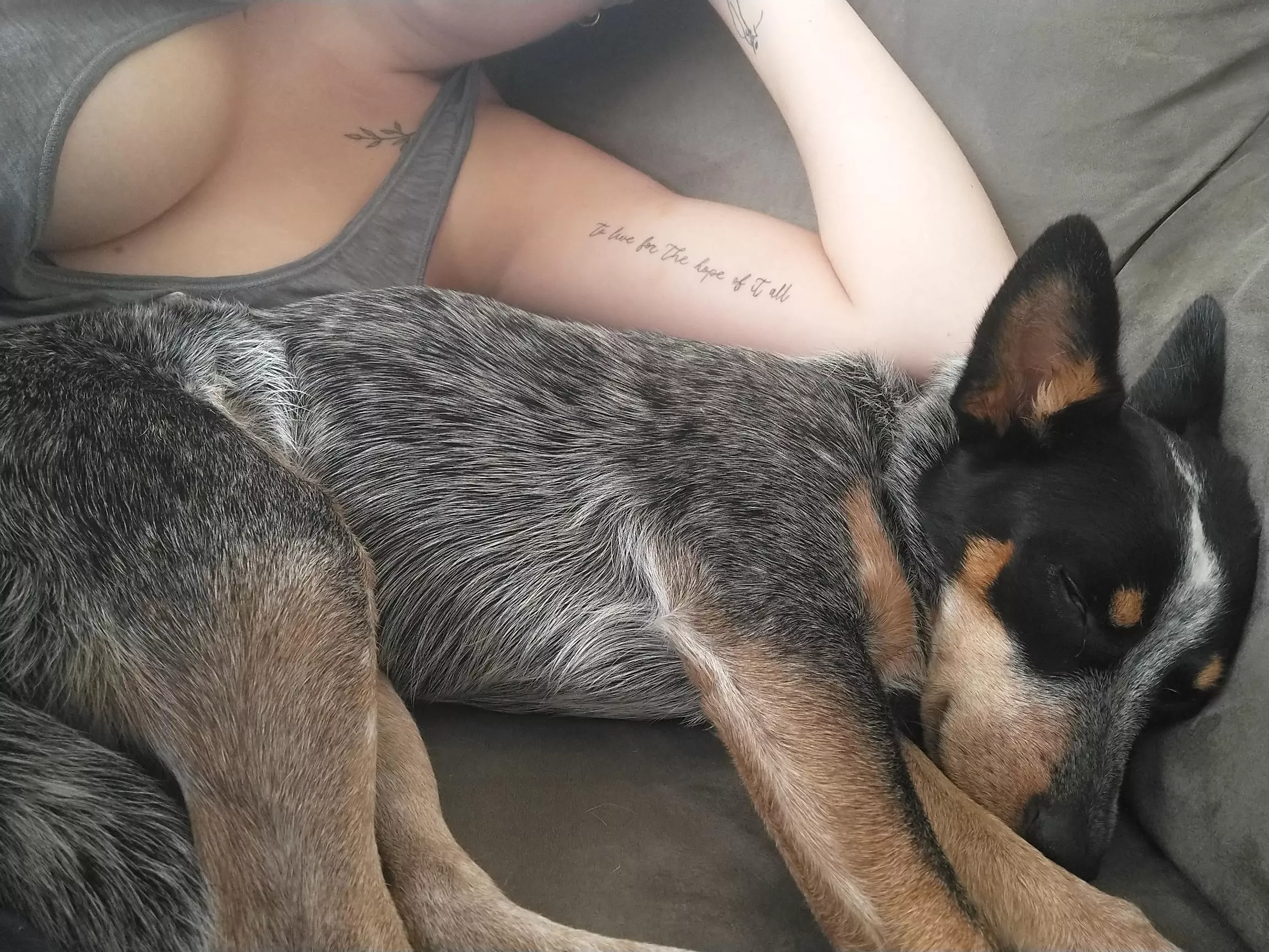 Morning cuddles with cutie posted by Plastic-Sherbert-456