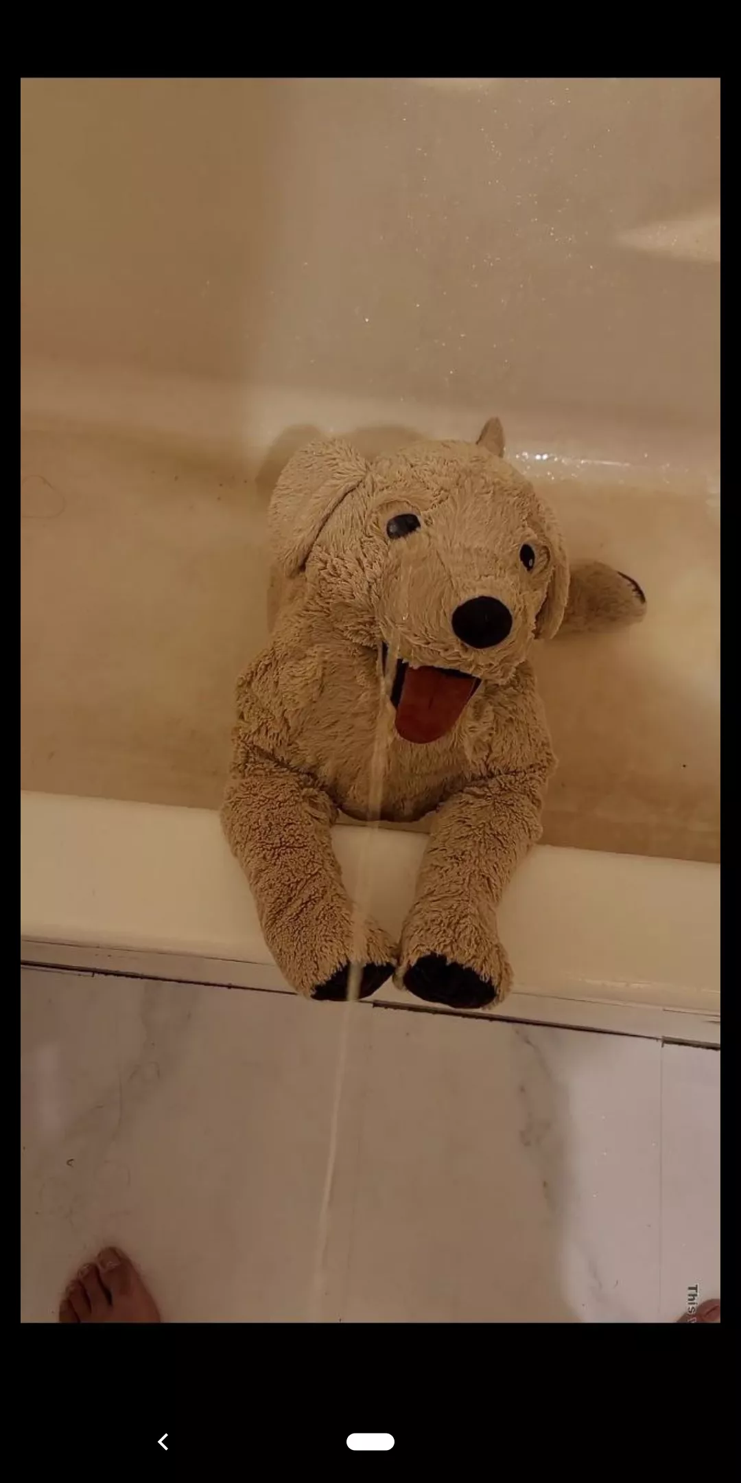 Plushie toilets anyone? posted by Wise_Relationship565