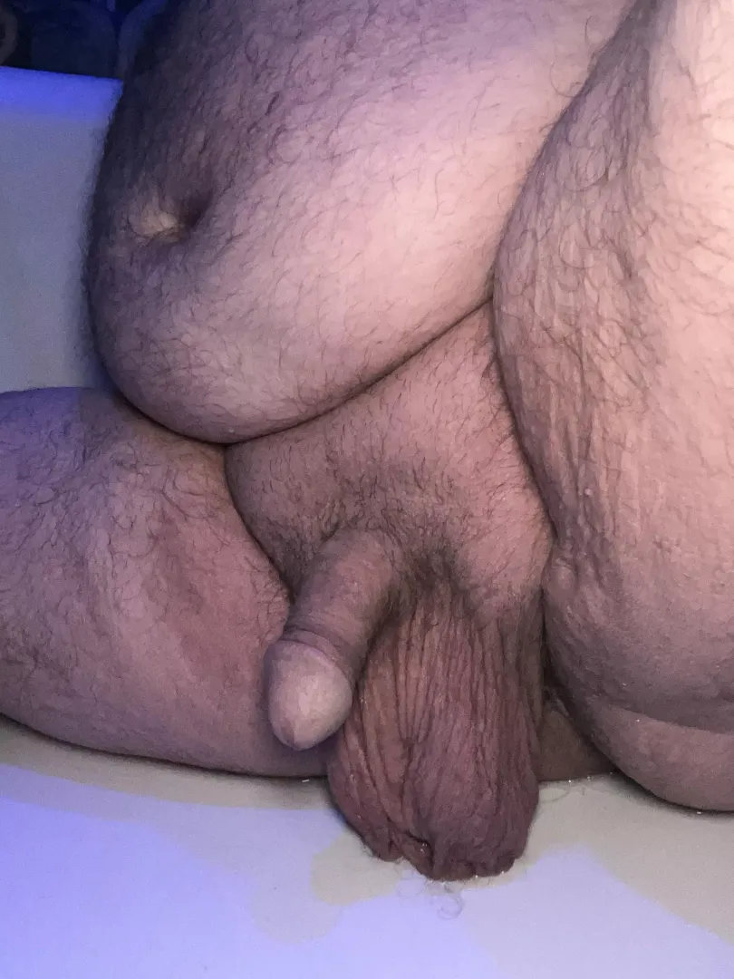 This Bear wants to get more into leather.  posted by zelcrosmile