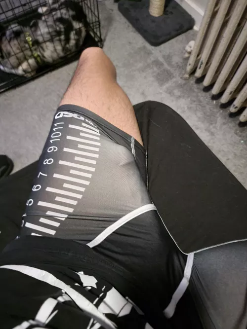 Thoughts?  by GibbyPls95