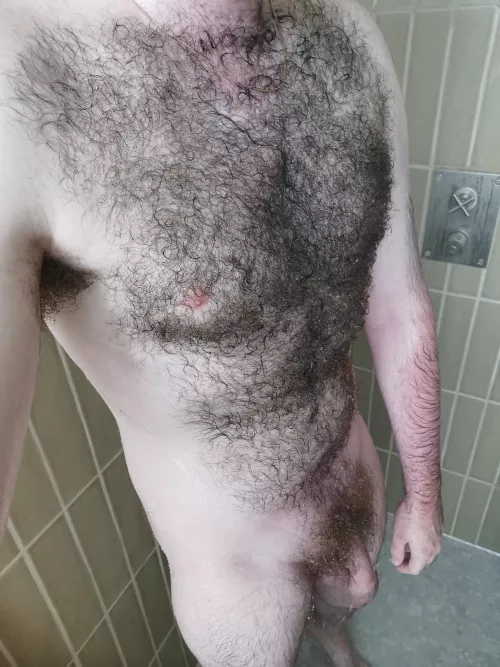 27 hairy enough? What would u do to me?  by hairybush93