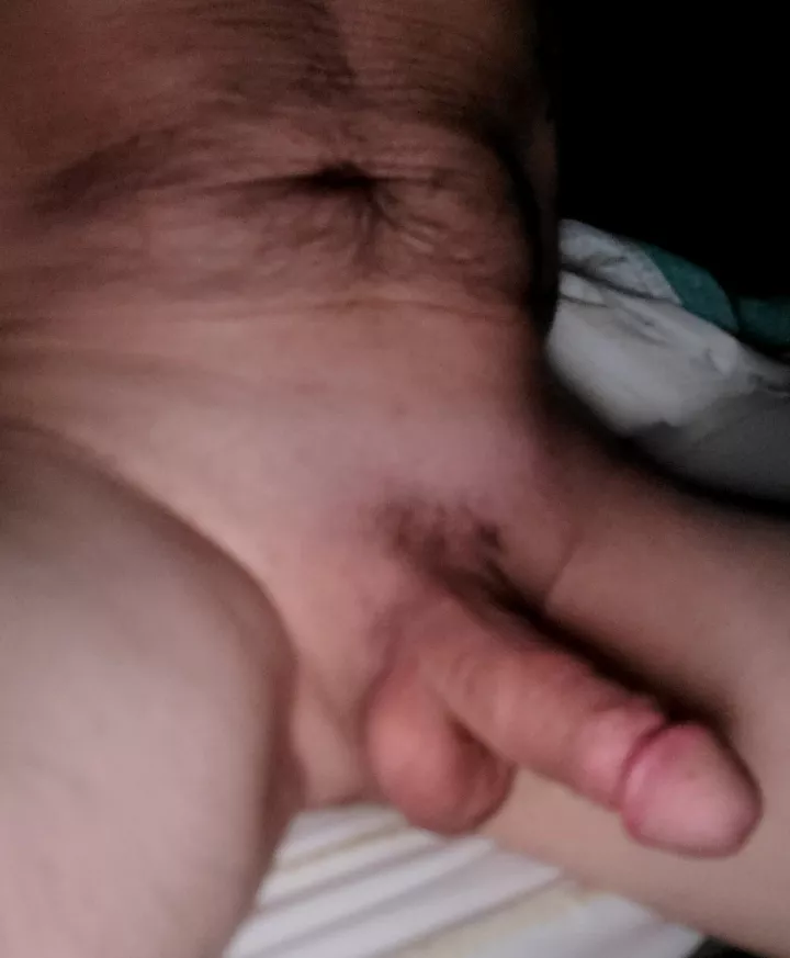 Do you want to come to bed posted by comfortable_ear_1282