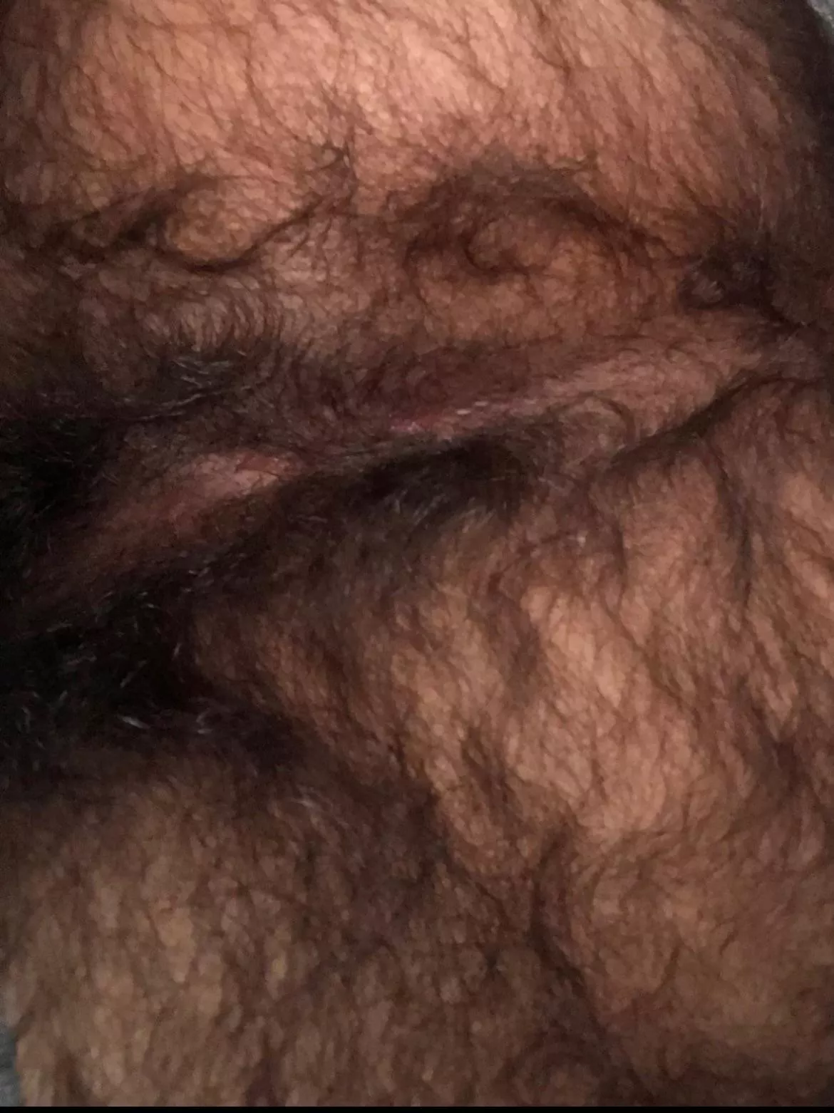 Get your nose in there, bro posted by gym-fur