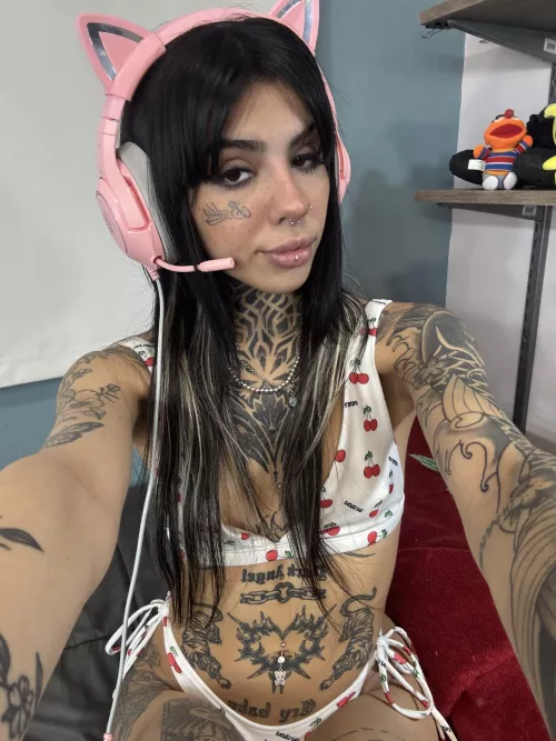 i can give you a paw by rendric