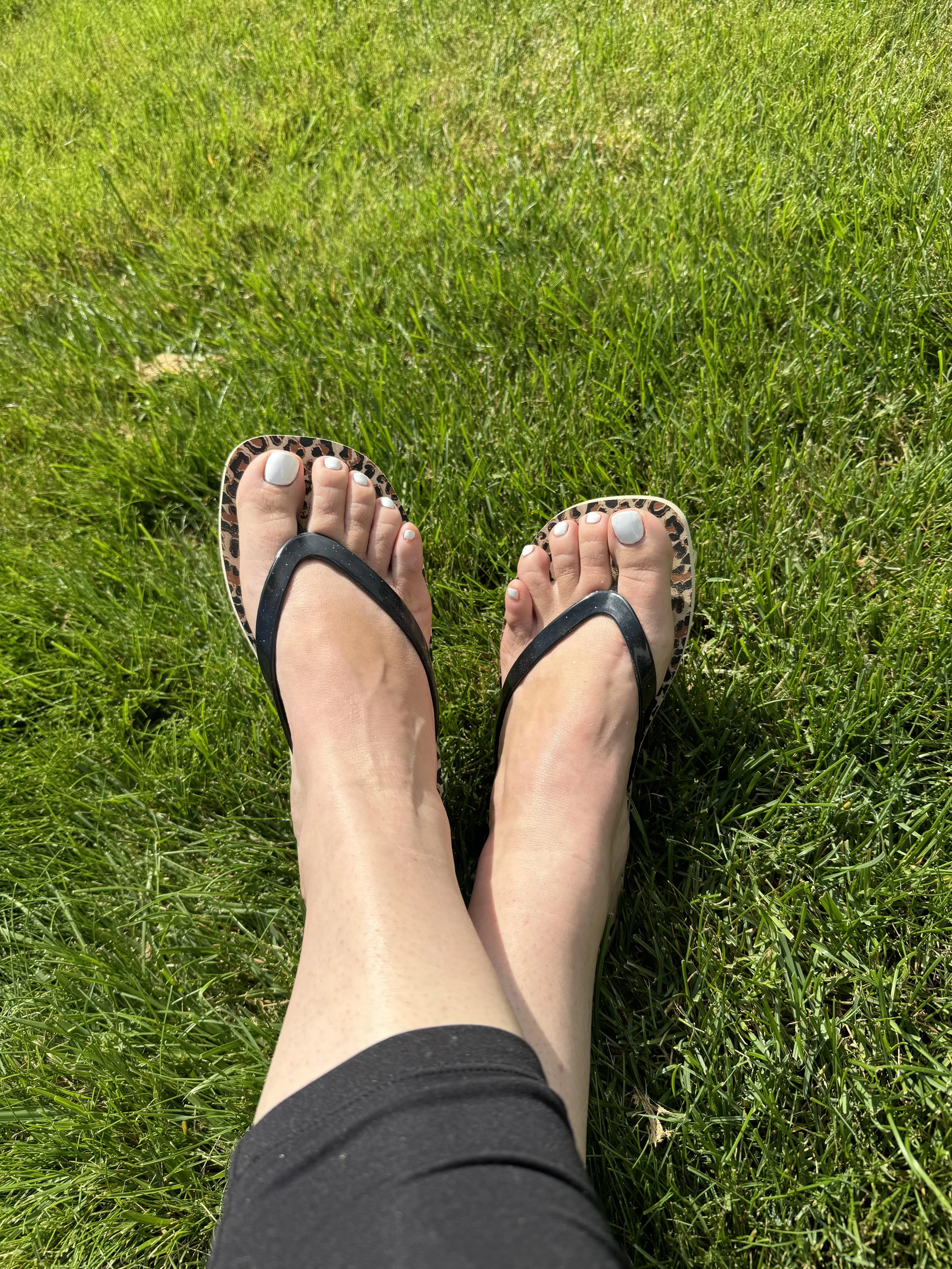 Just being basic today.  posted by jenee_wyoming15