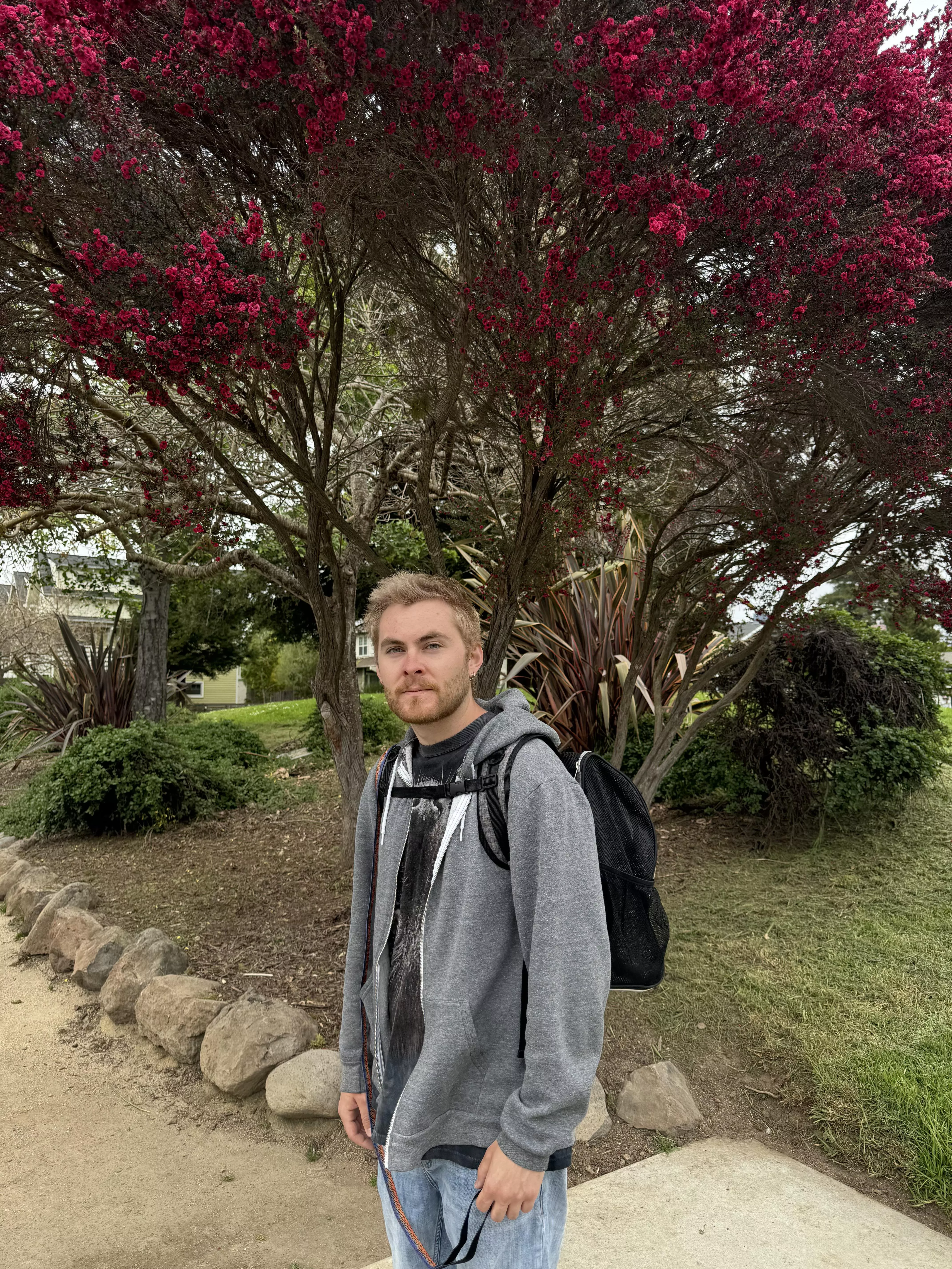 just here to say hi :) posted by ssaaddccaatt