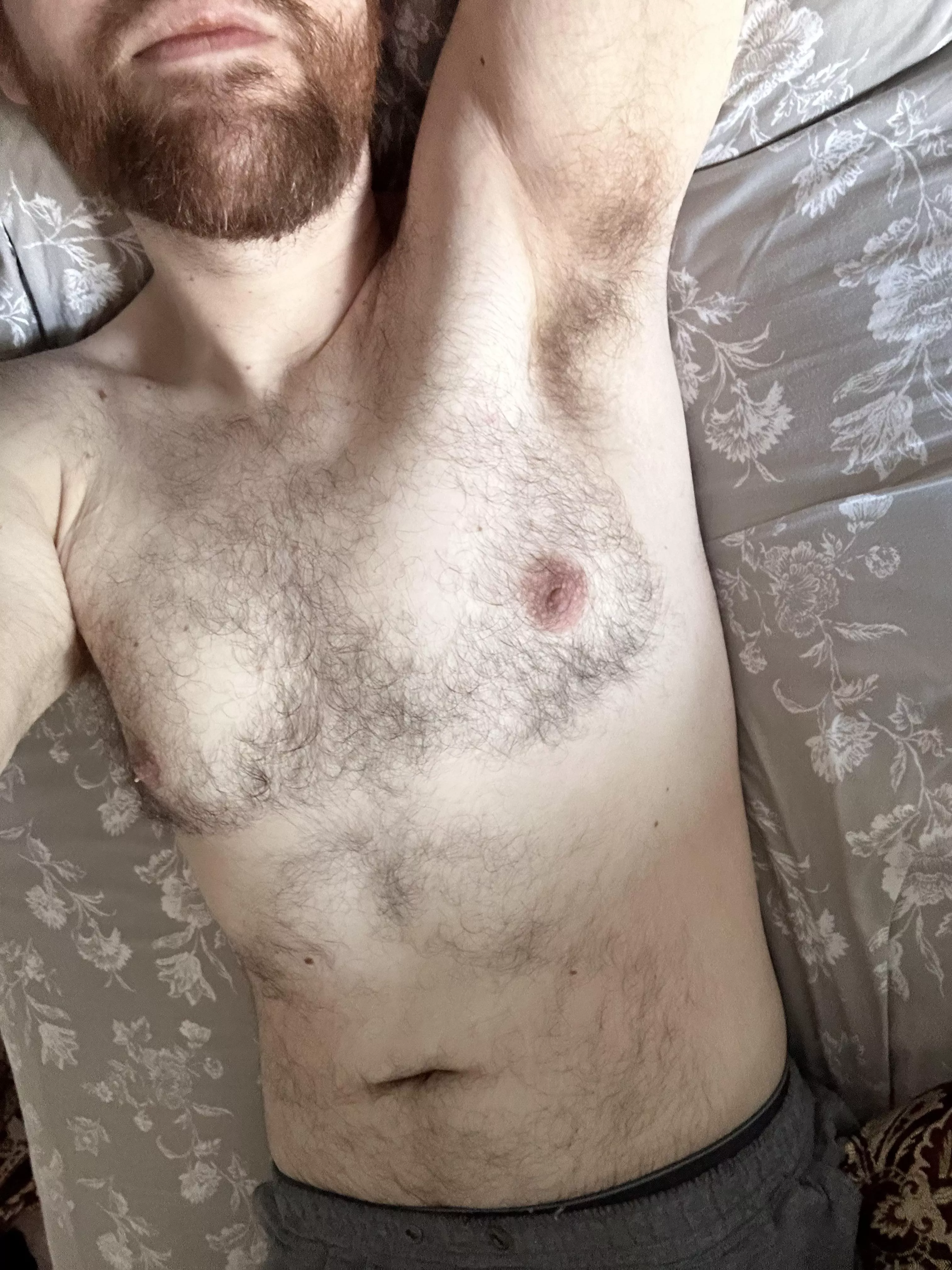 How about we stay in bed all day? posted by NewMusician9921