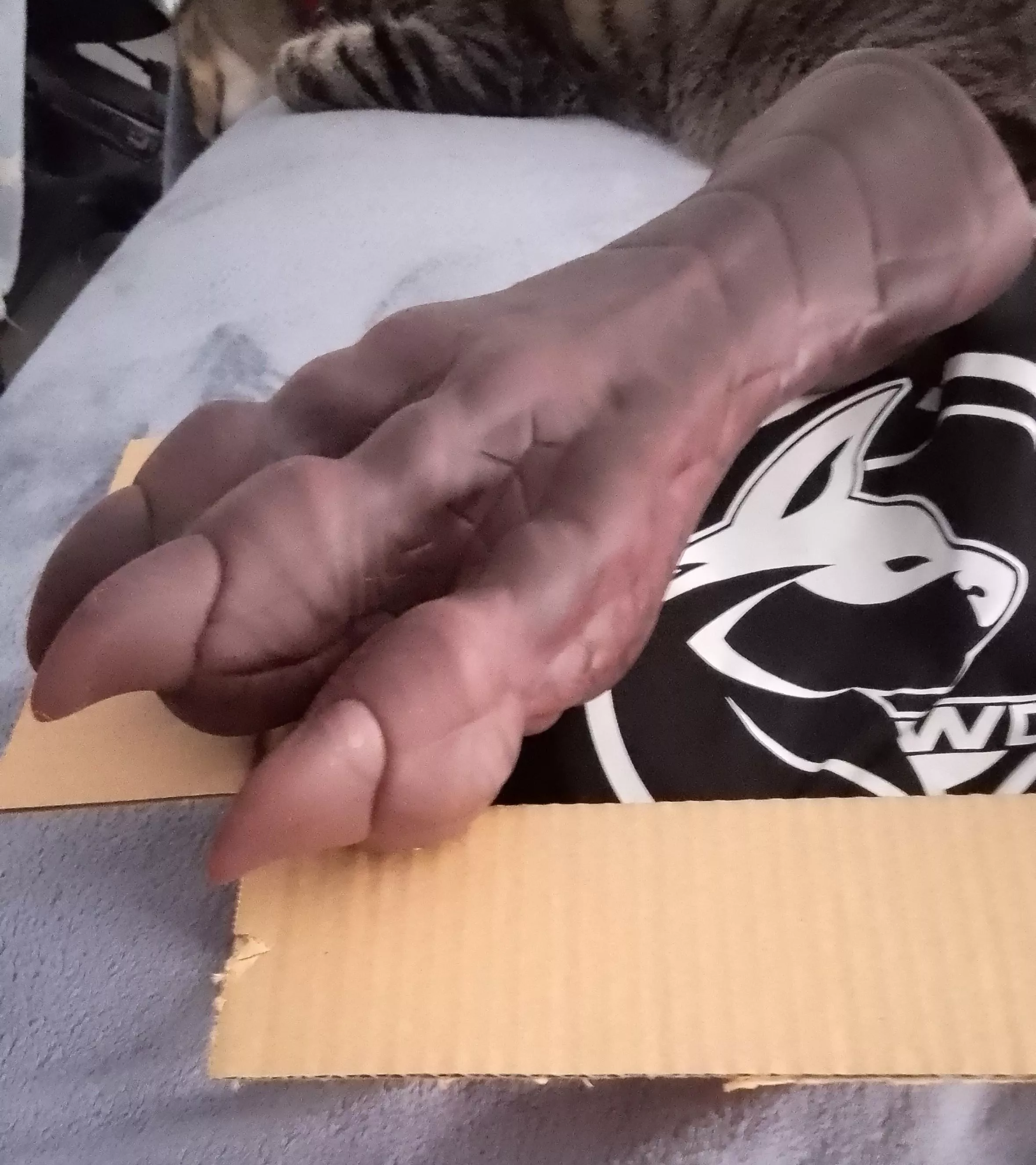 My Mason's Paw OS/s from Weredog in a yummy chocolate and coffee pour came today! posted by rolypolykanga