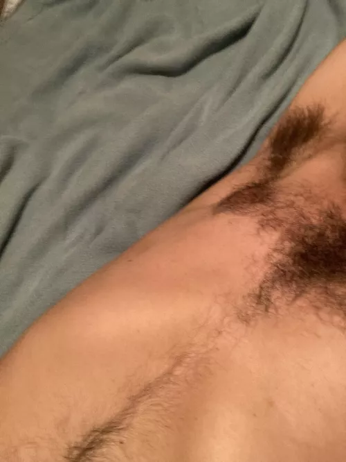 My pit = your pillow by ownedandondisplay