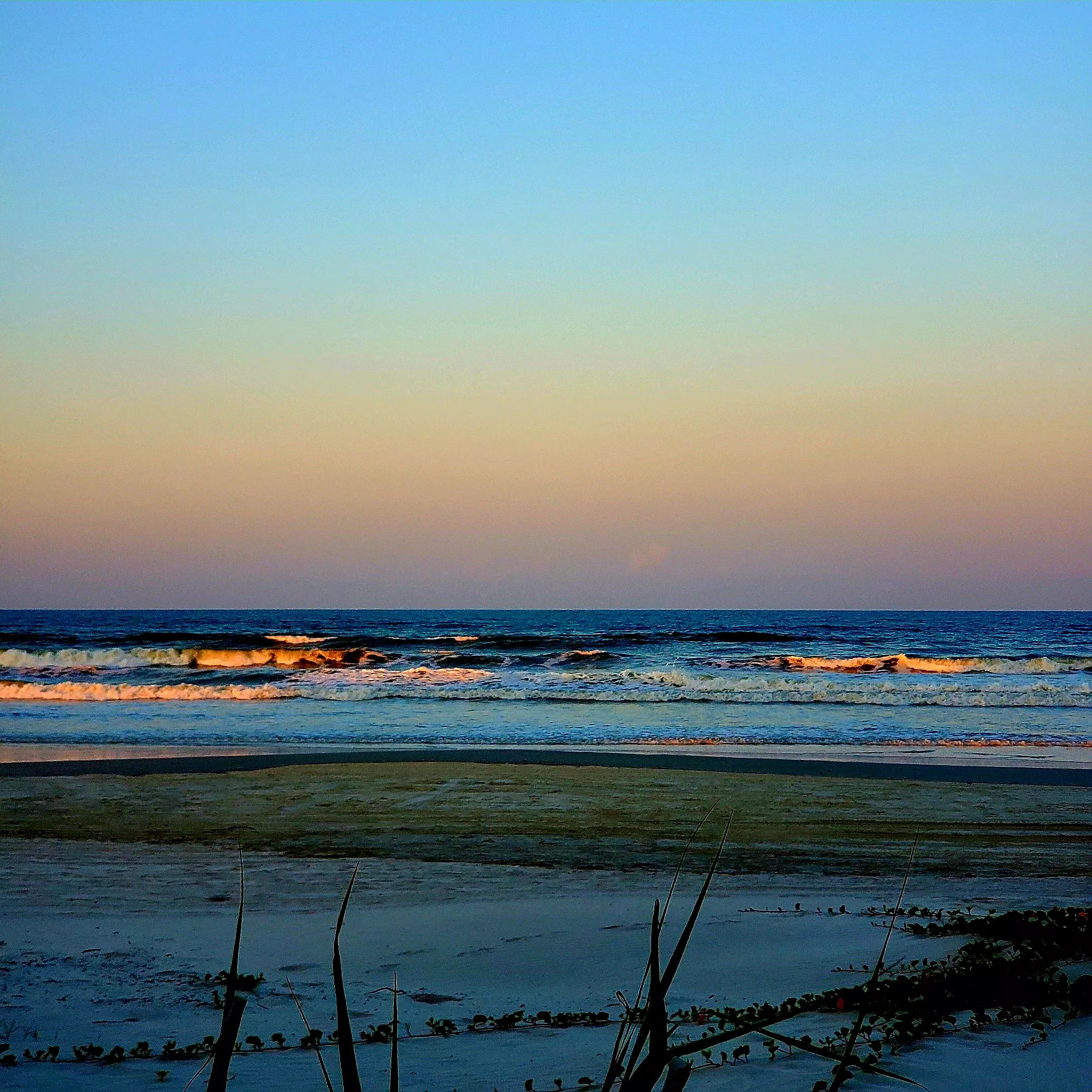 New Smyrna, FL  posted by AdFull9176