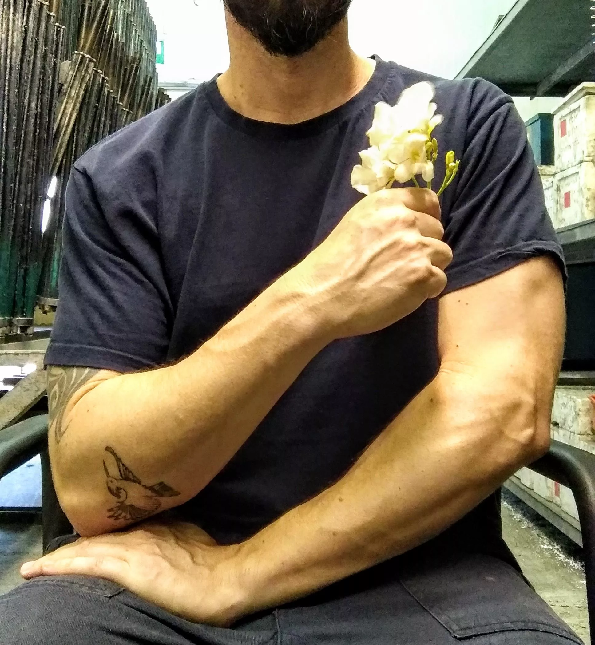 (42) flowers in her hair, flowers everywhere 💕🌼 posted by AMPE82