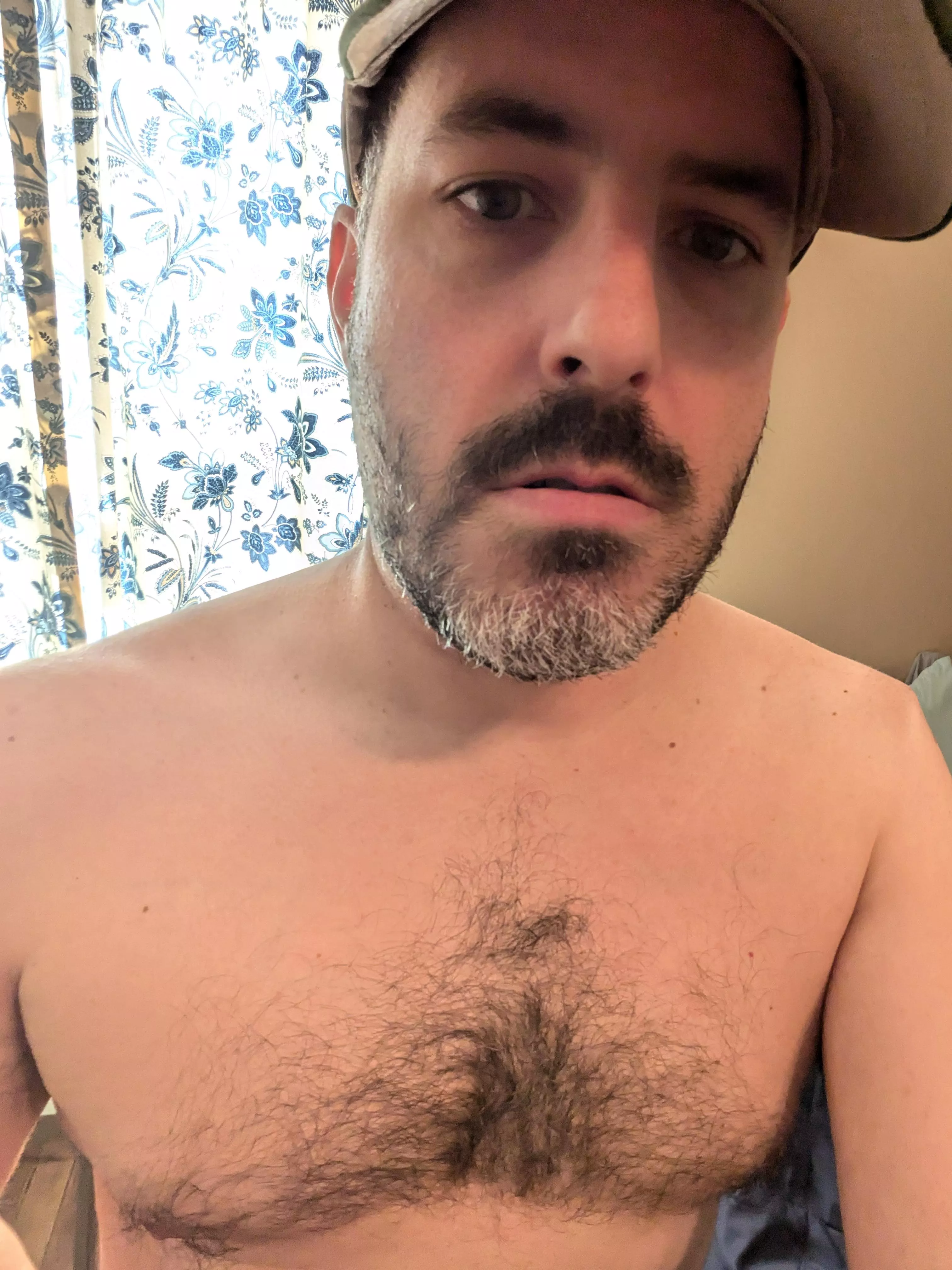 46 bearded top USA for 21 and older add palmede  posted by didog40