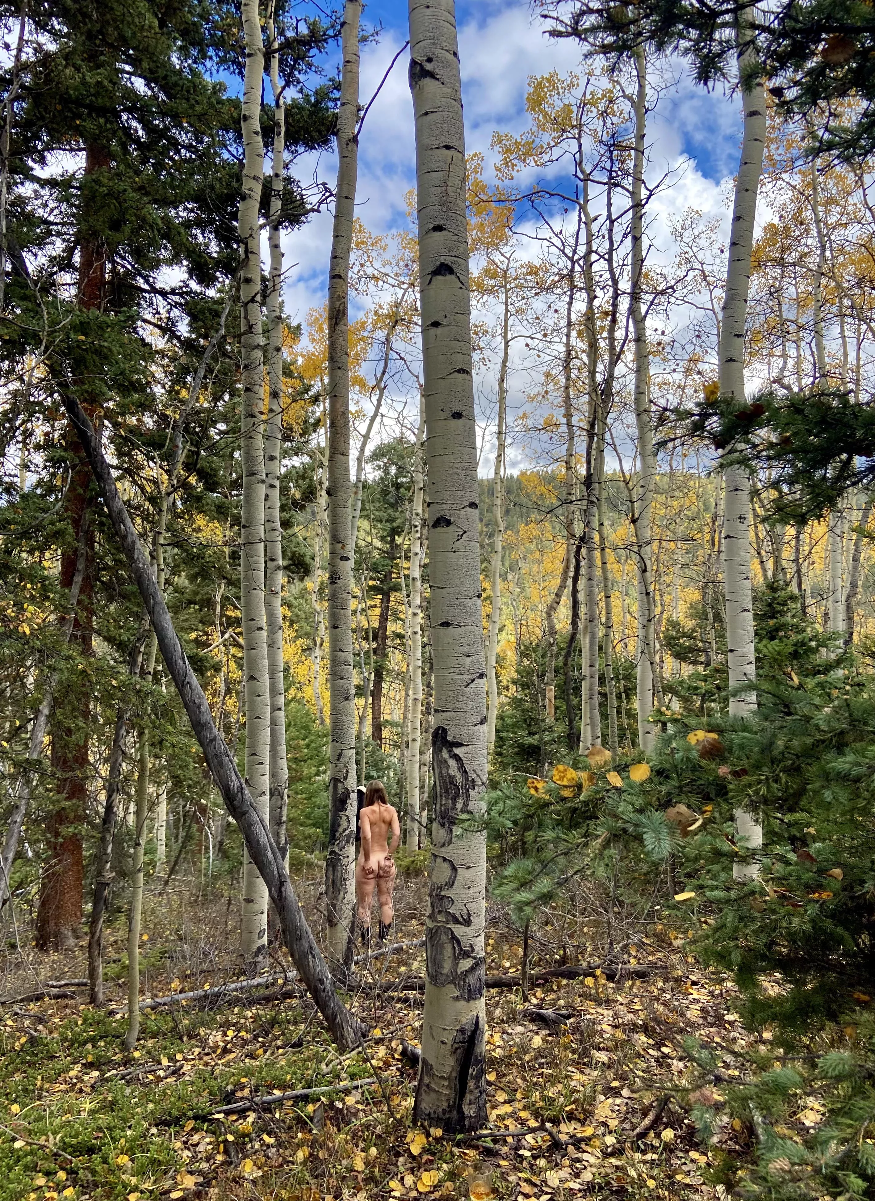 Anyone else ready for Fall?  posted by charliehustle555