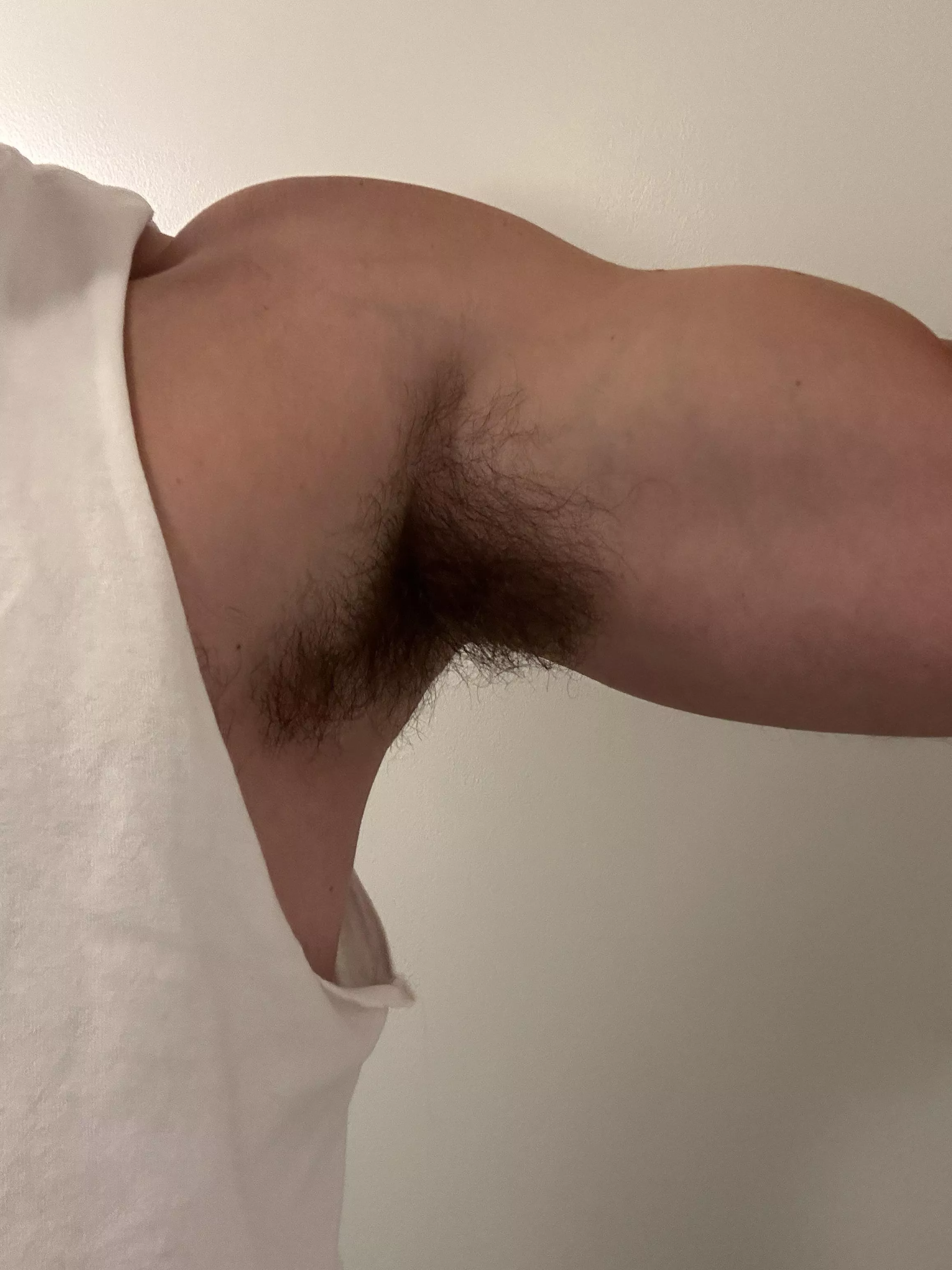  Nothing turns me in more than compliments on my pits at the gym posted by mtnbiker87