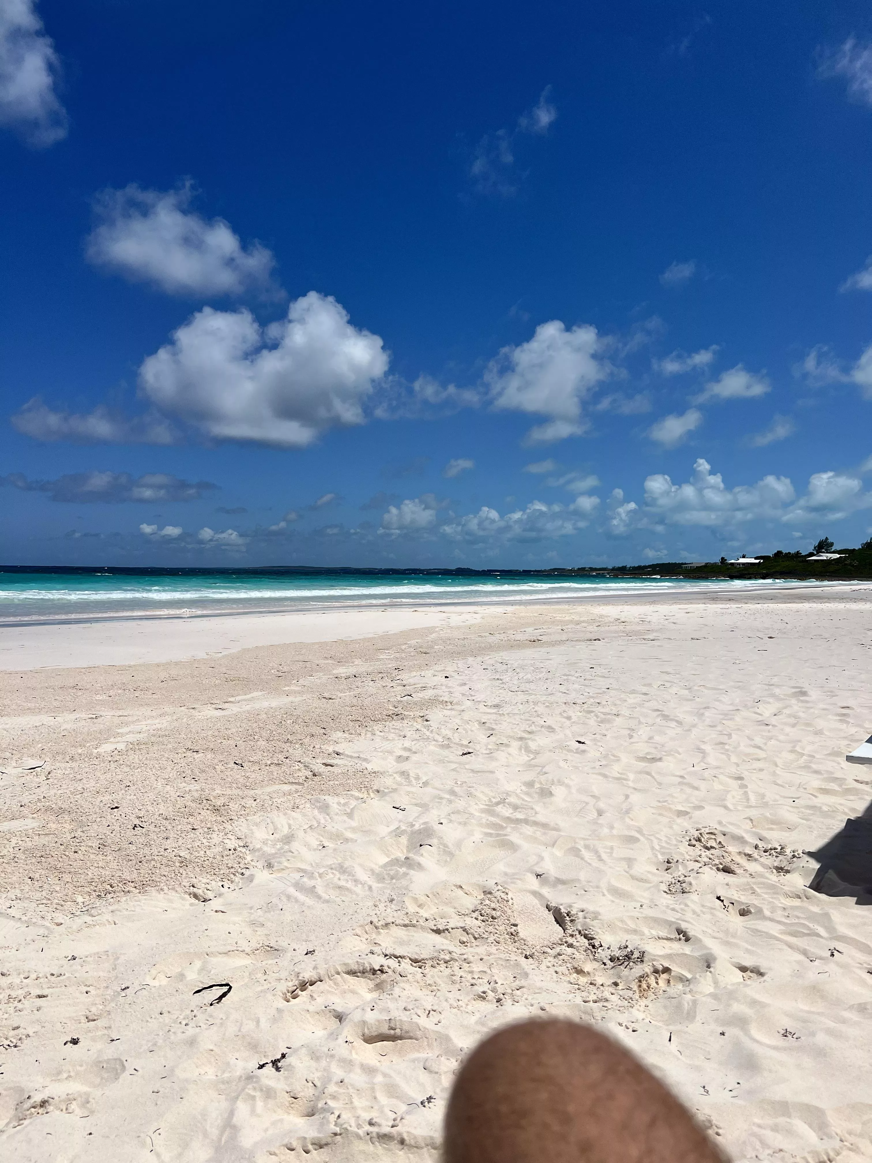 “Pink Sand” beach in the Bahamas  posted by ESD150