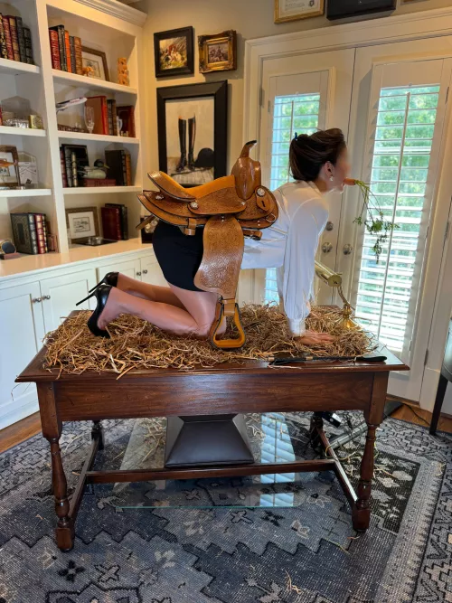 Who needs a Secretary when you can have a work 'hor'se by MrandMrsWonka