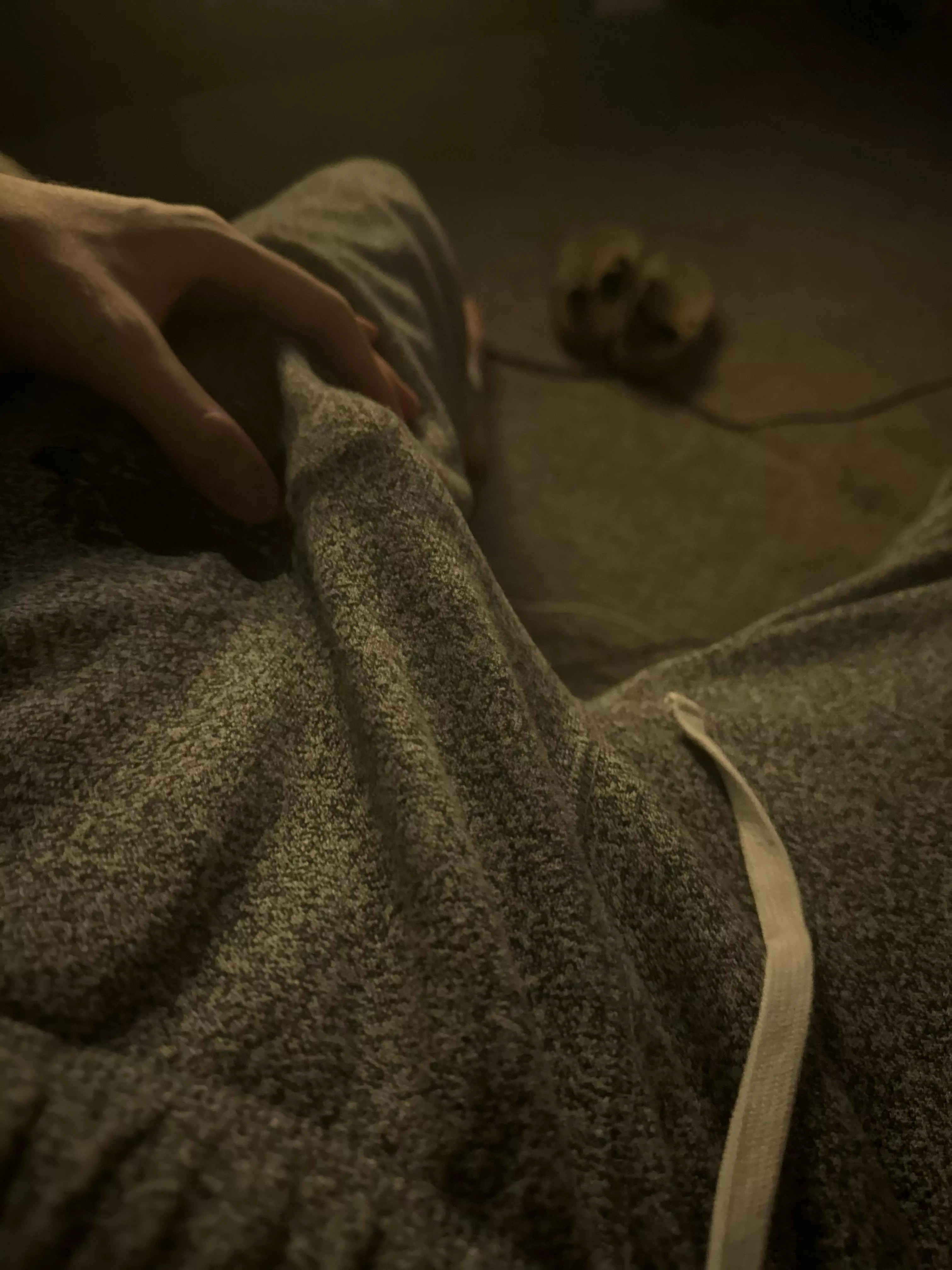 [24] mushroom top posted by Simple-Astronaut-815