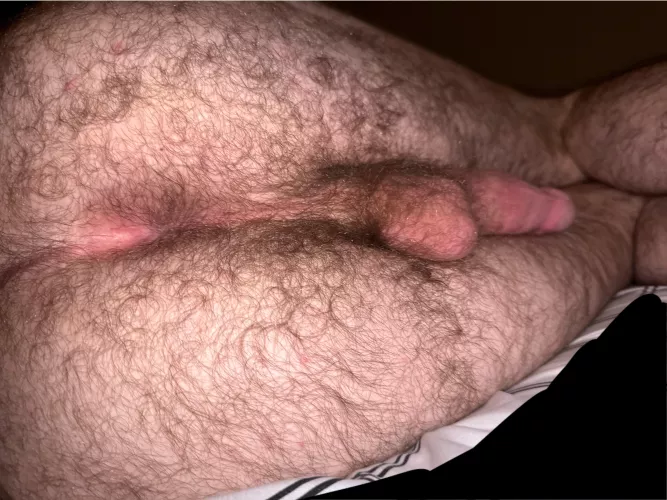 Any takers? by CarHeatSedrest