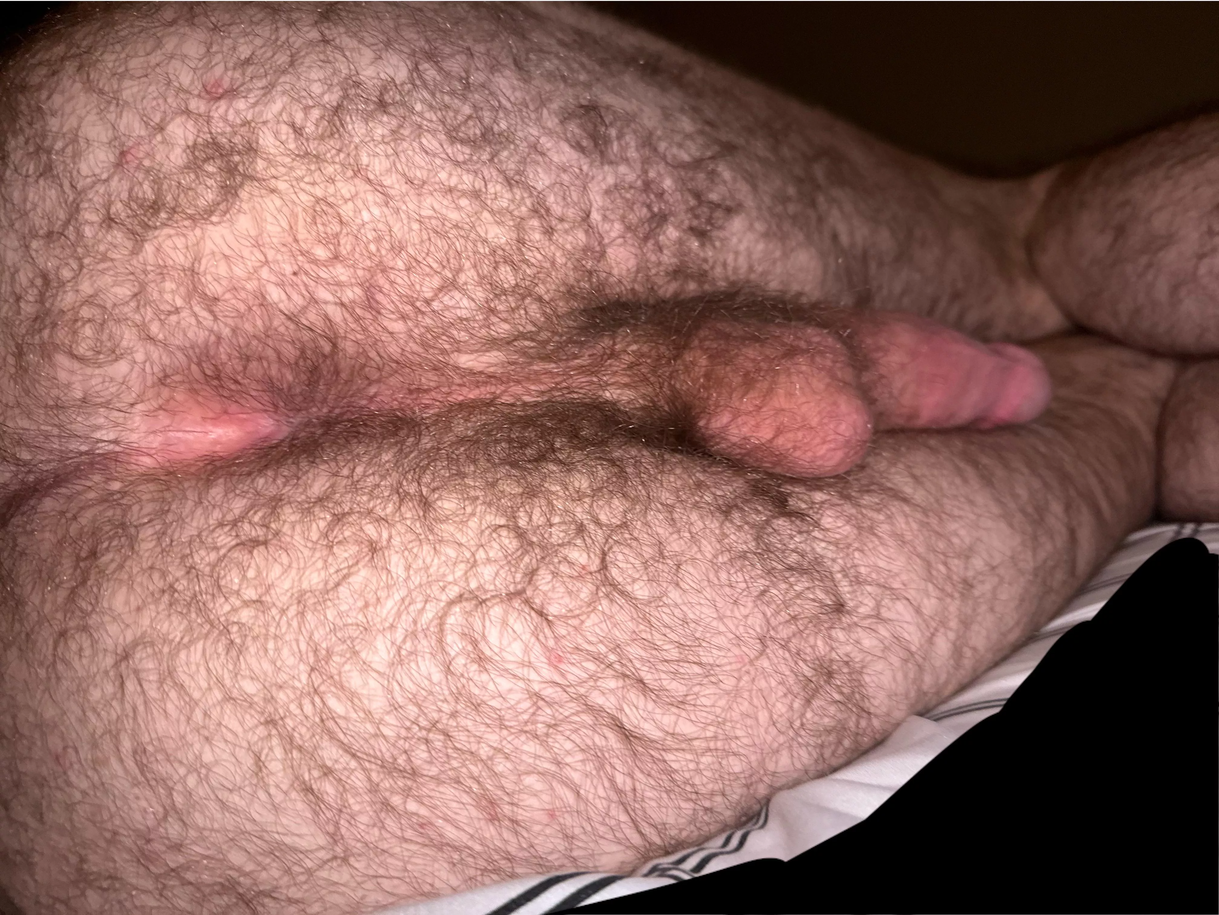 Any takers? posted by CarHeatSedrest