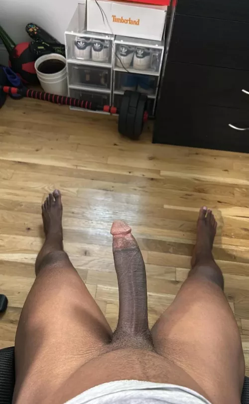 Hop on for a ride?  by Any_Intention_3598