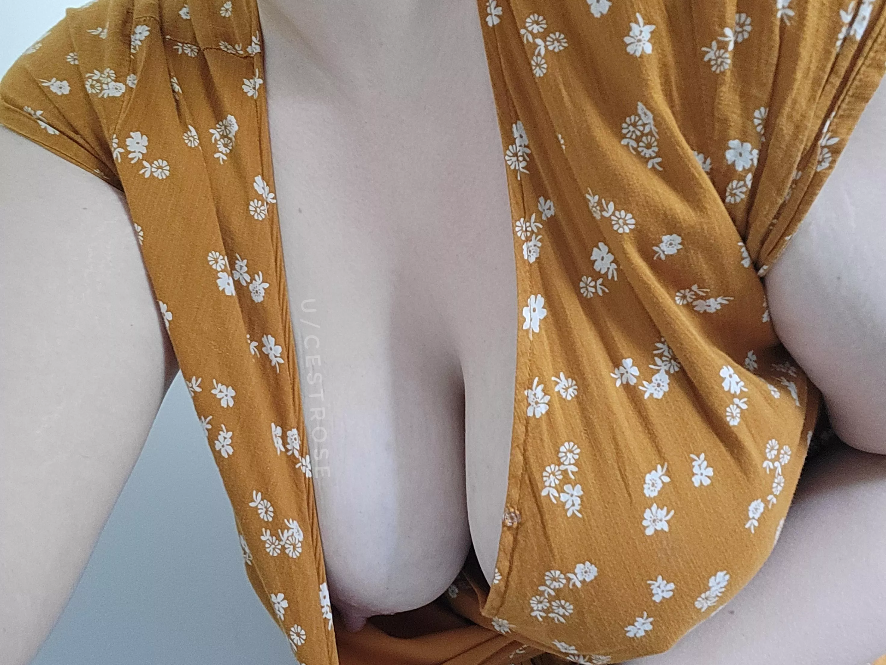 Please excuse my fashion mishap posted by cestrose