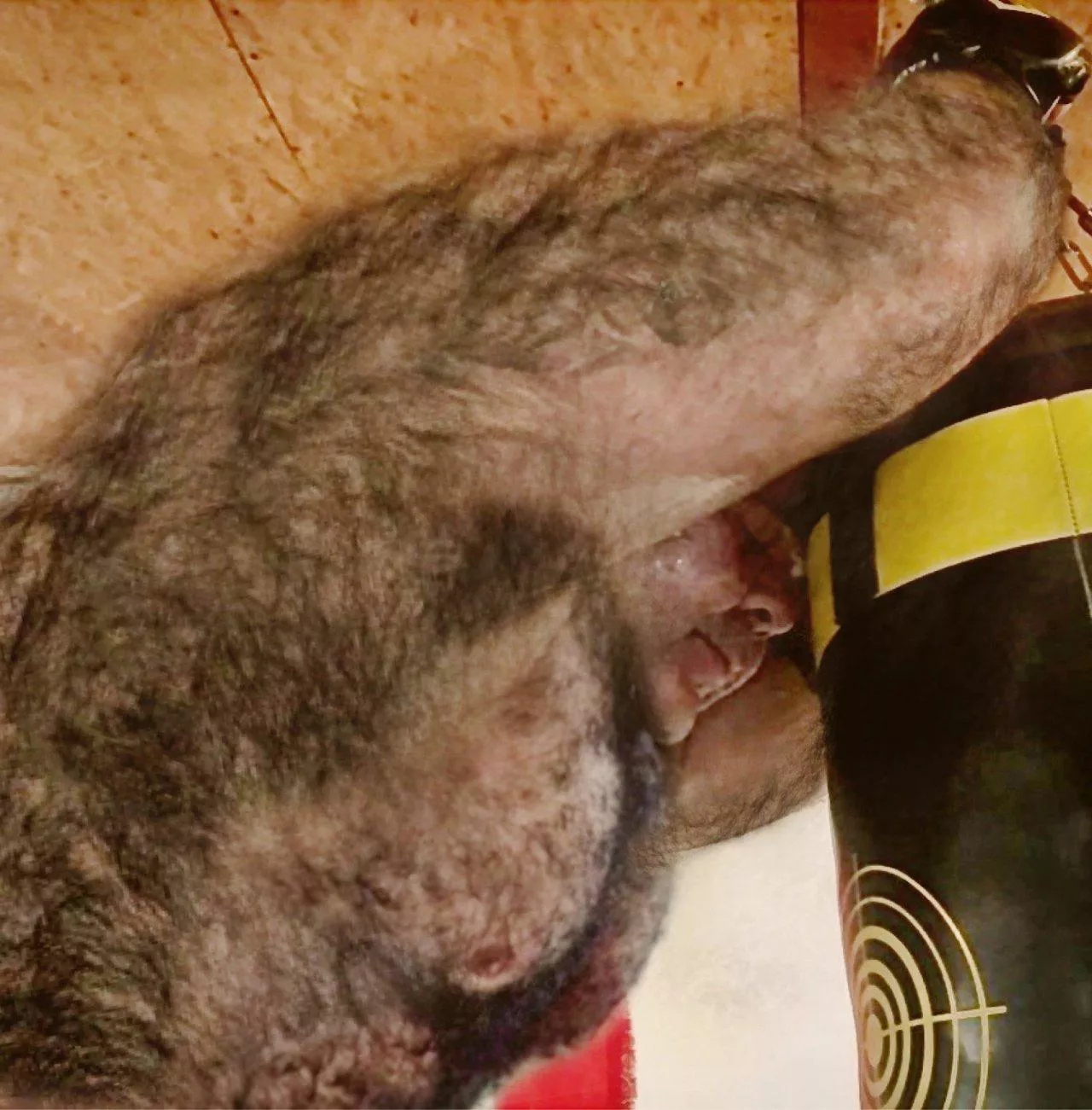 This fucking stud I found on Tumblr. 🥵 posted by AlterionYuuhi